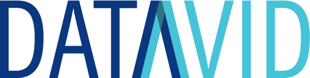 Datavid